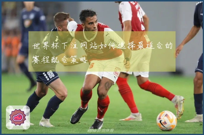 世界杯下注网站如何选择最适合的赛程配合策略