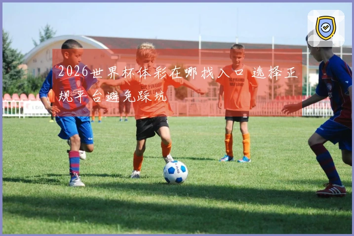 2026世界杯体彩在哪找入口 选择正规平台避免踩坑