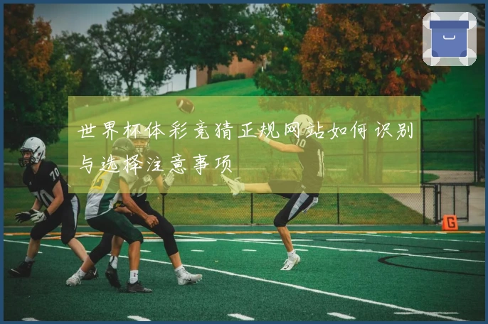 世界杯体彩竞猜正规网站如何识别与选择注意事项